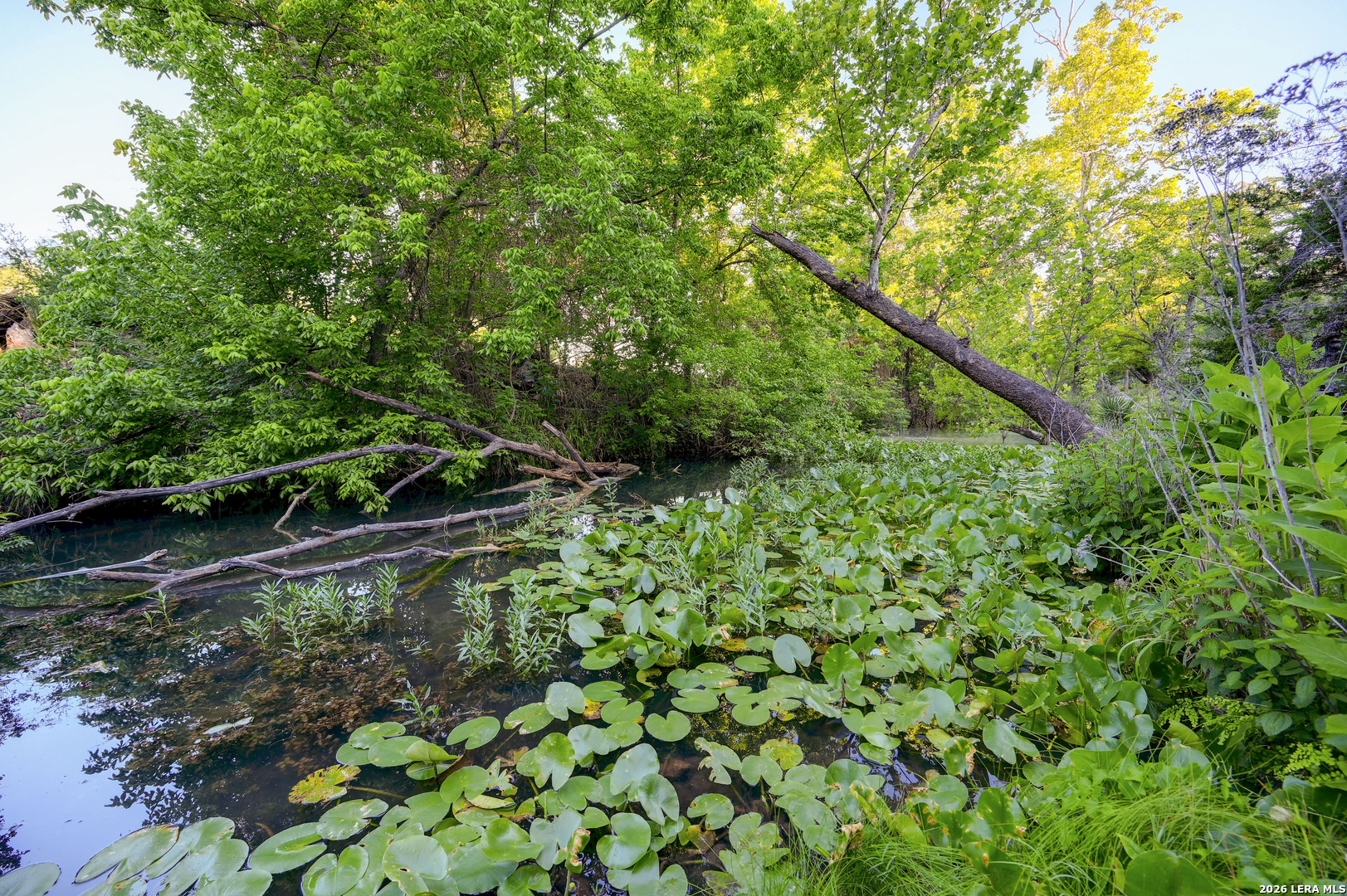 315 Rittimann Road Spring Branch, TX 78070 - Photo 12 of 51