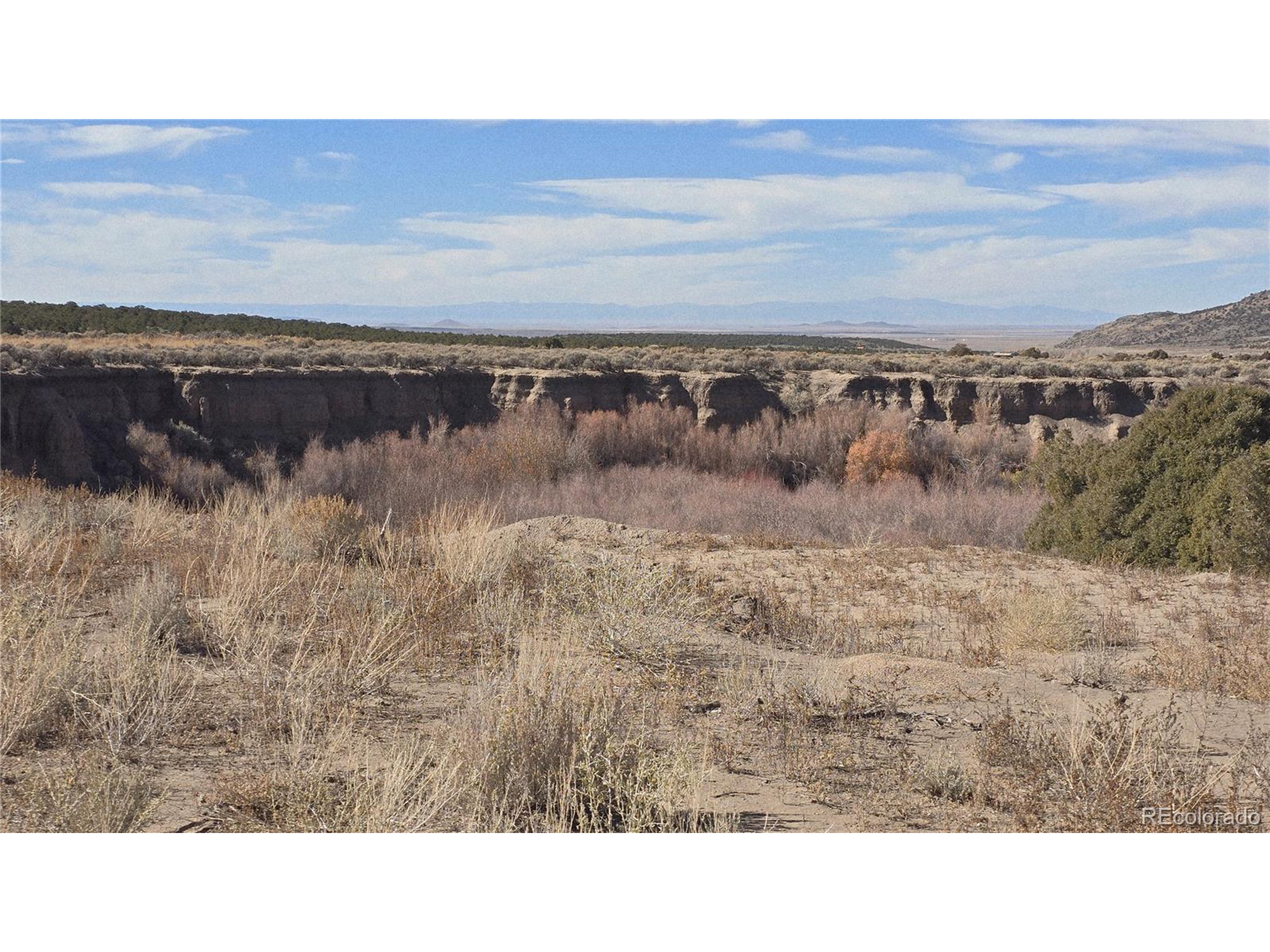1768 Bateman Road Fort Garland, CO 81133 - Photo 12 of 30 a black and white photo of a lake