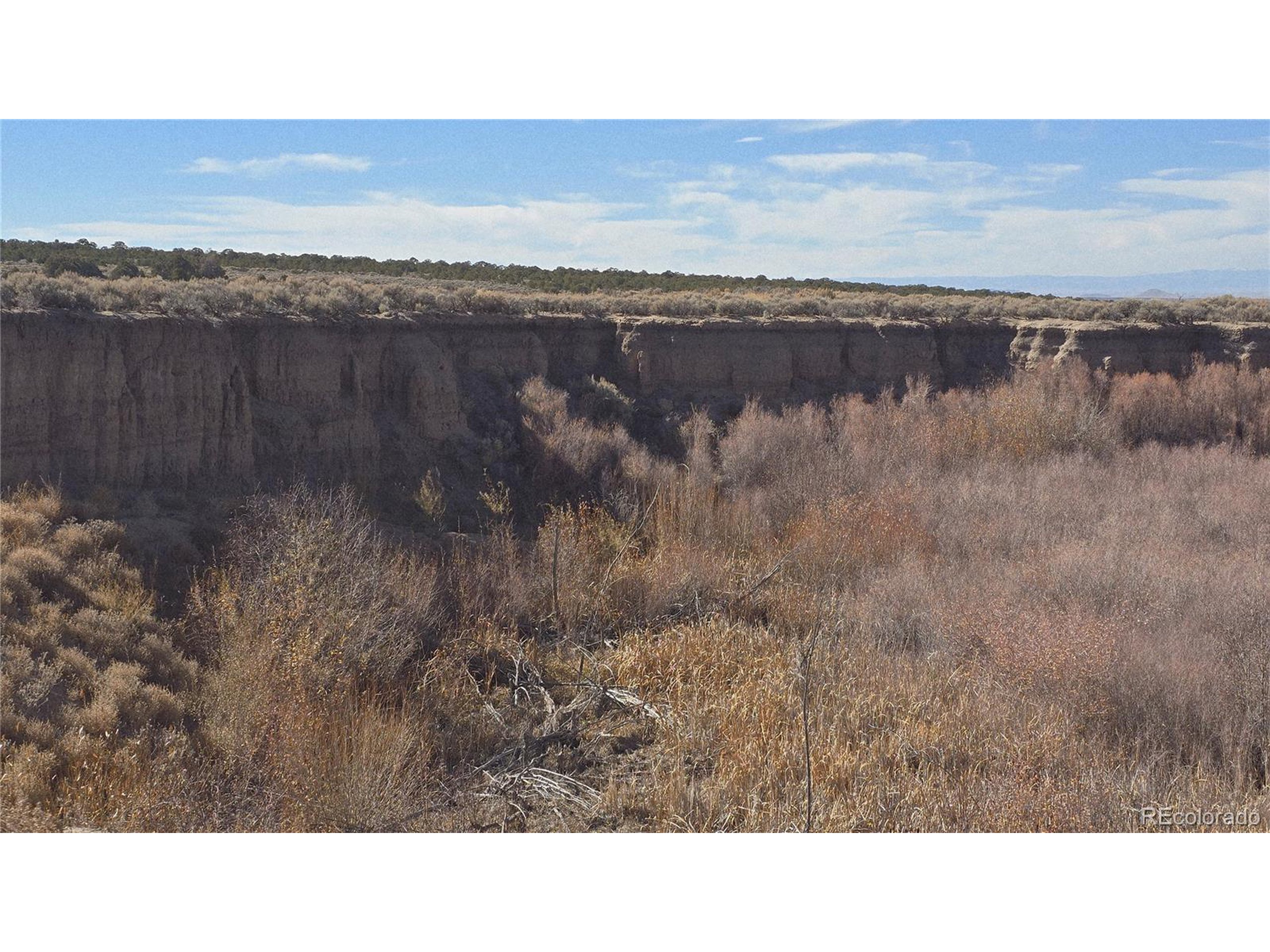 1768 Bateman Road Fort Garland, CO 81133 - Photo 14 of 30 a black and white photo of a lake