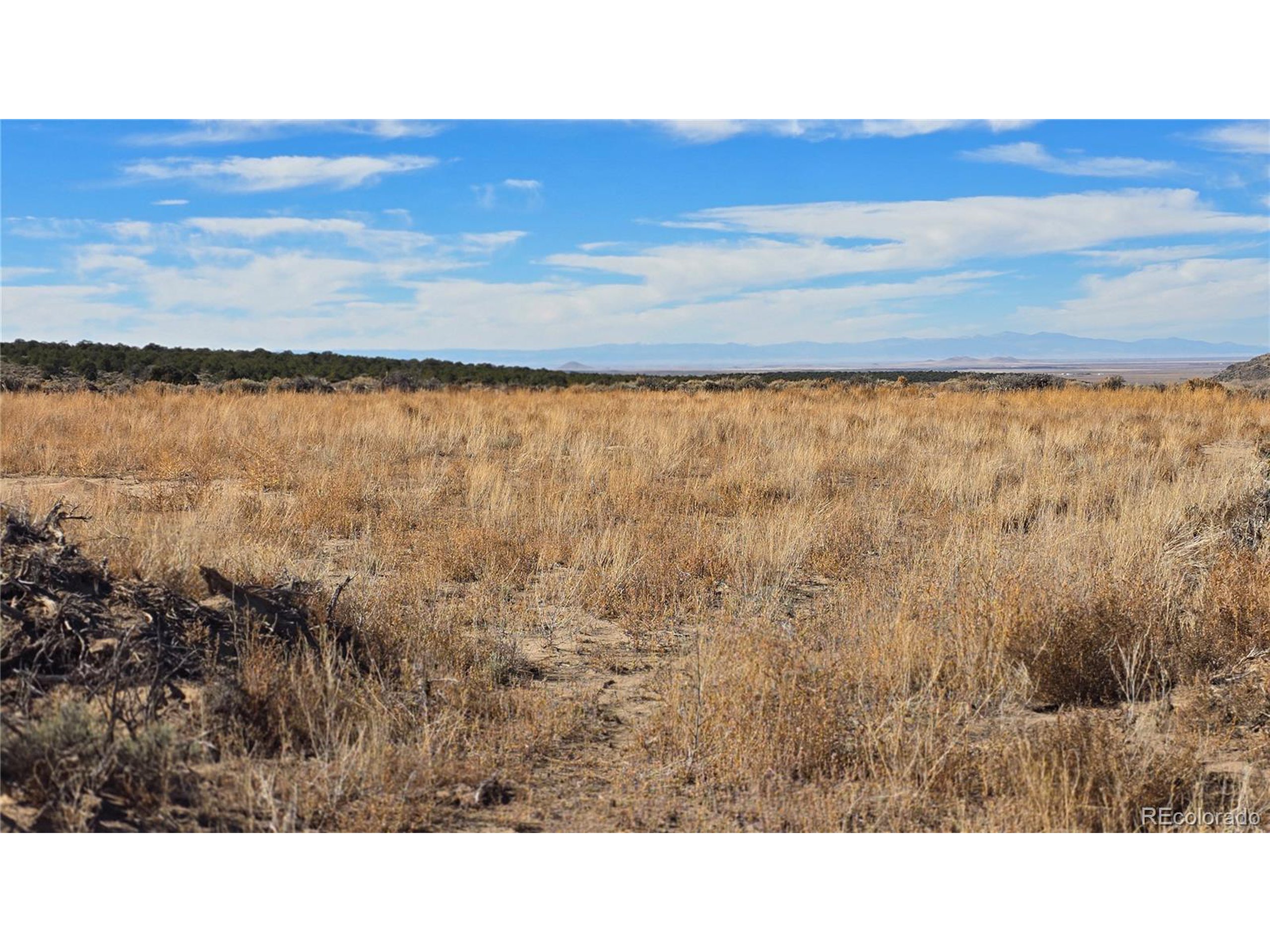 1768 Bateman Road Fort Garland, CO 81133 - Photo 16 of 30 a black and white photo of a lake