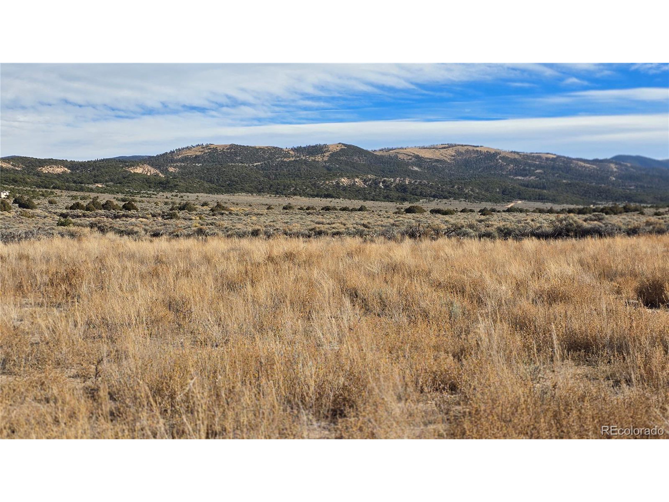 1768 Bateman Road Fort Garland, CO 81133 - Photo 24 of 30 a black and white photo of a field