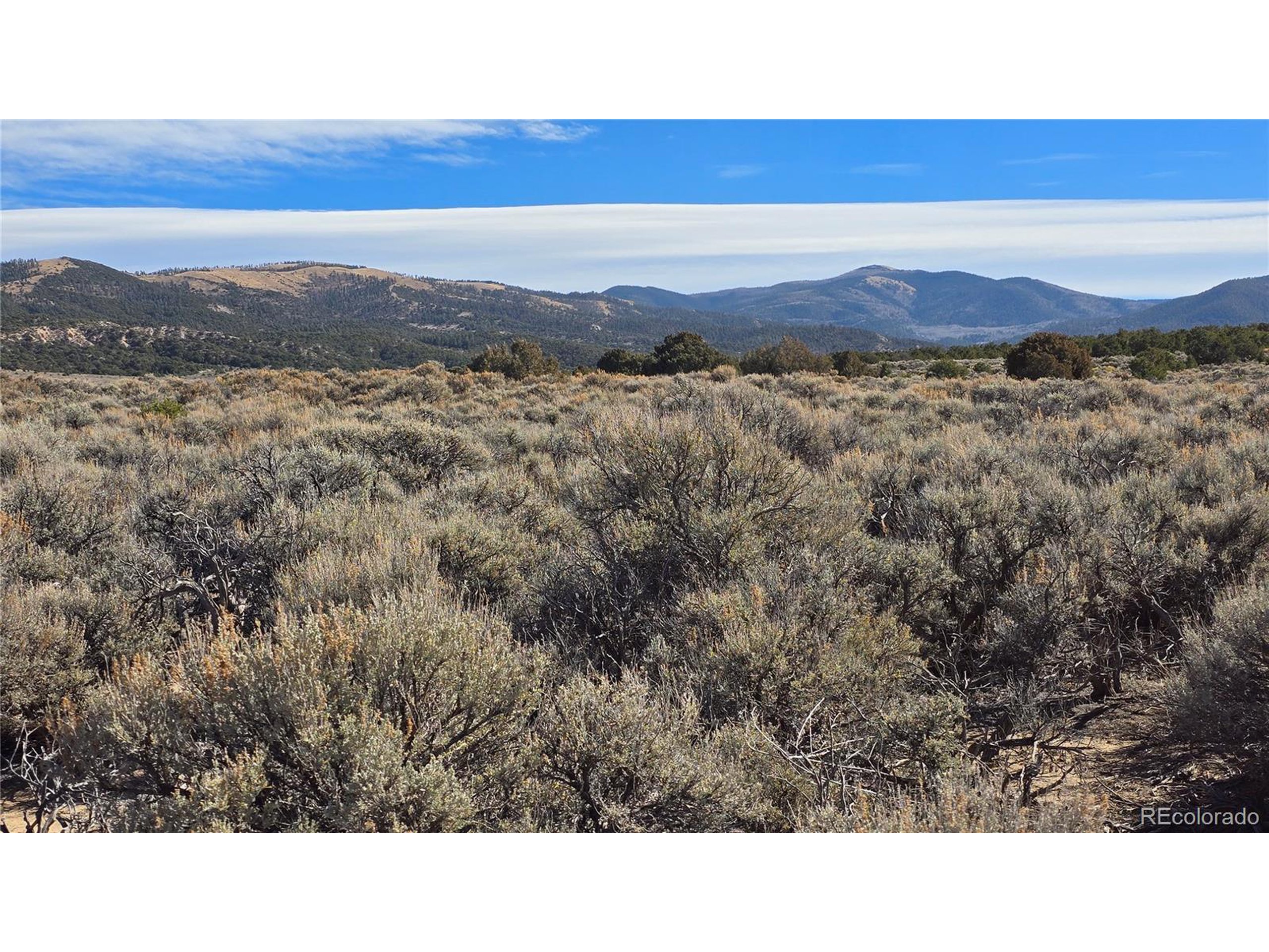 1768 Bateman Road Fort Garland, CO 81133 - Photo 6 of 30 a open area with mountains in the back