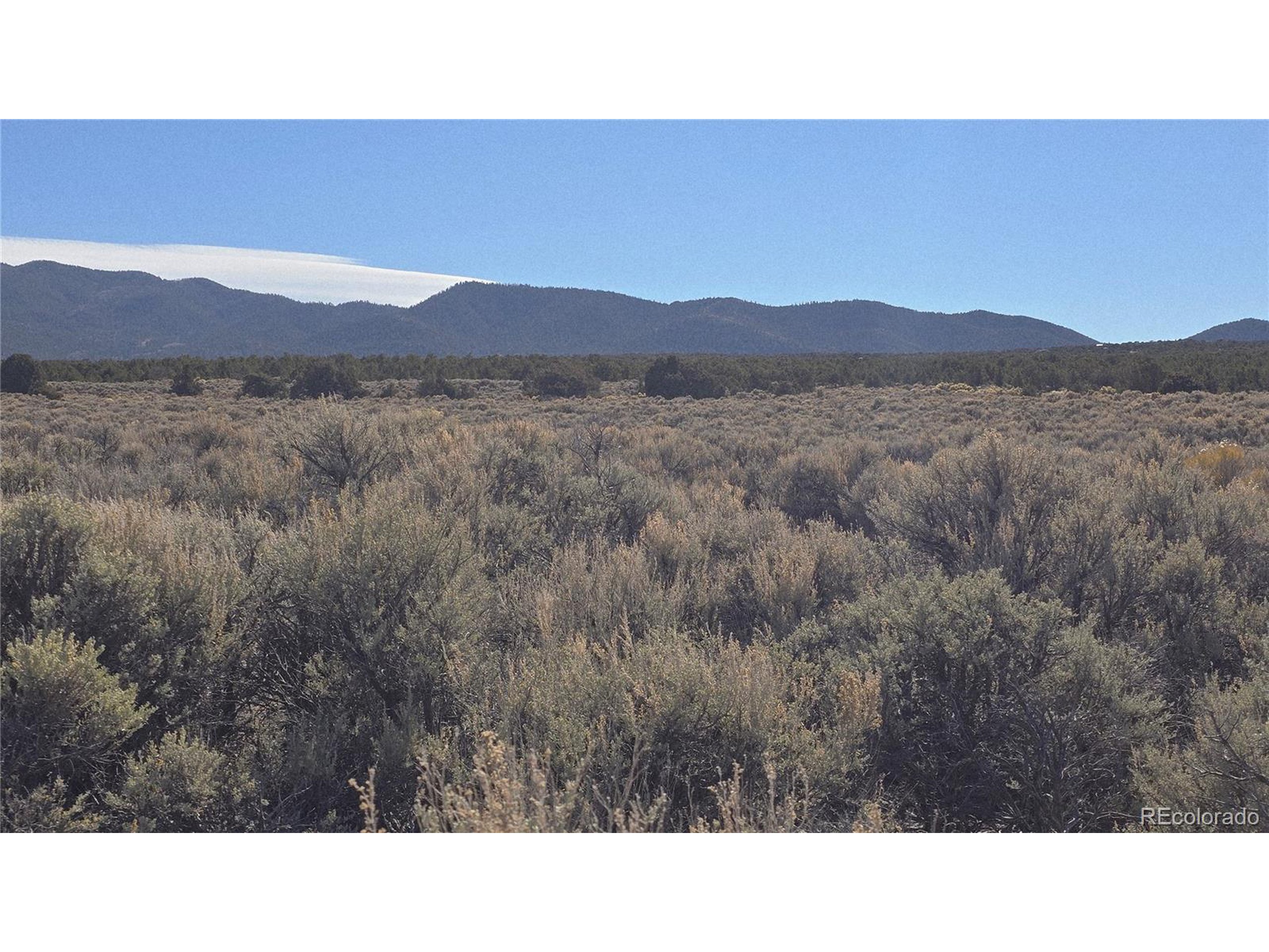 1768 Bateman Road Fort Garland, CO 81133 - Photo 8 of 30 a black and white photo of a field