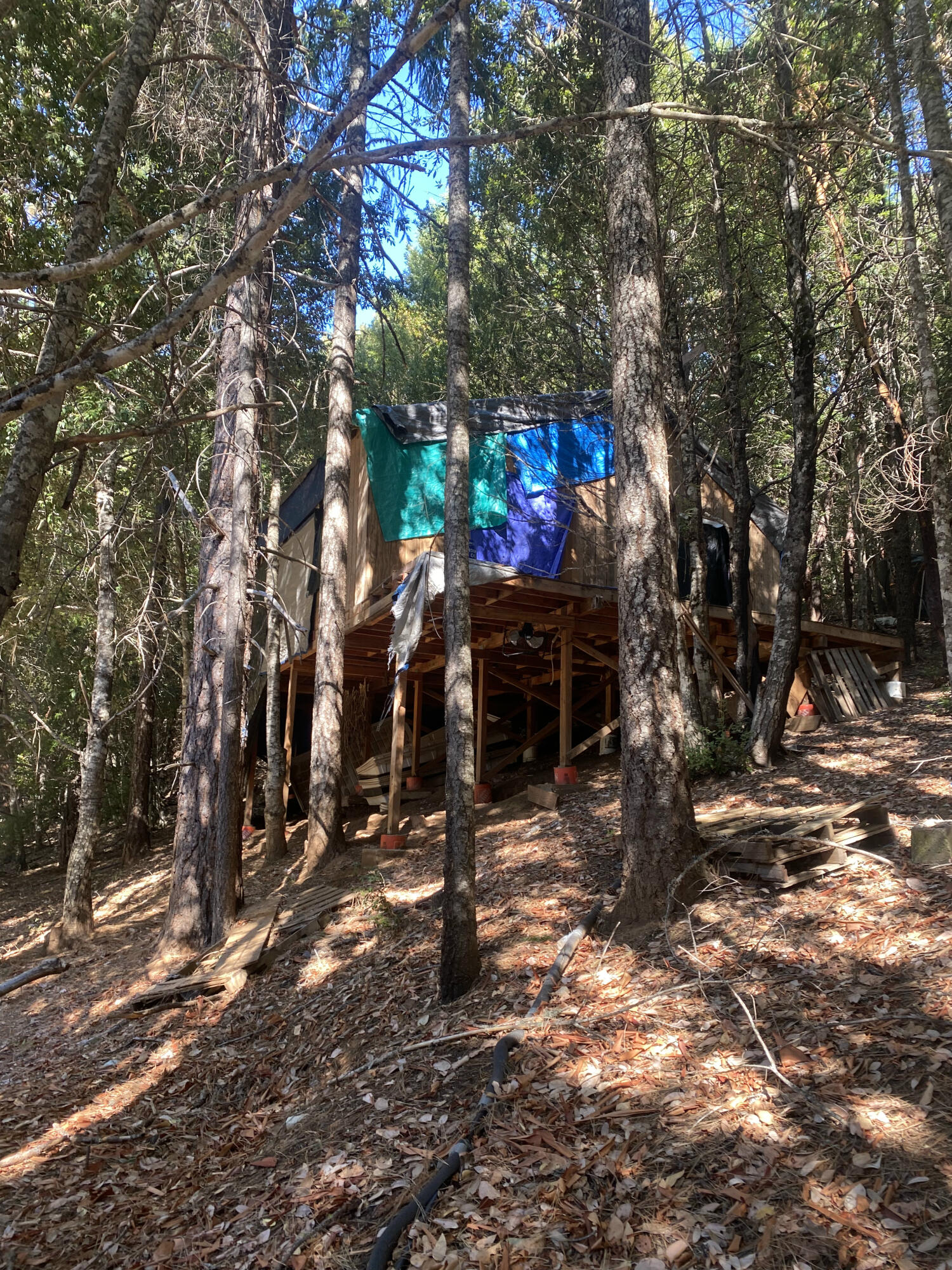1780 Mcdonald Creek Road Burnt Ranch, CA 95527 - Photo 11 of 58