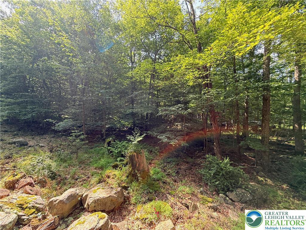 193 Canterbury Road Bushkill, PA 18324 - Photo 20 of 32 a view of a yard with plants and large trees