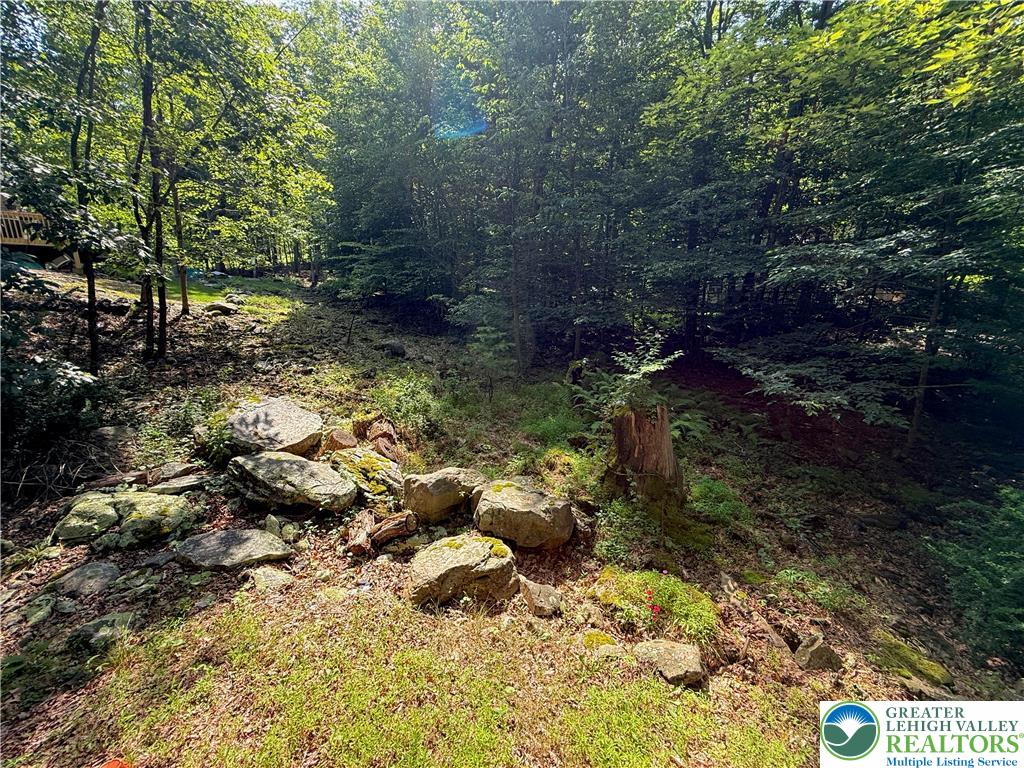 193 Canterbury Road Bushkill, PA 18324 - Photo 21 of 32 a view of yard