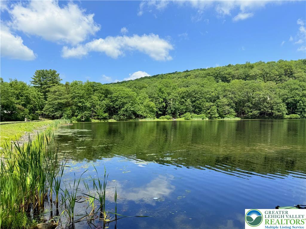 193 Canterbury Road Bushkill, PA 18324 - Photo 23 of 32 a view of a lake with a yard