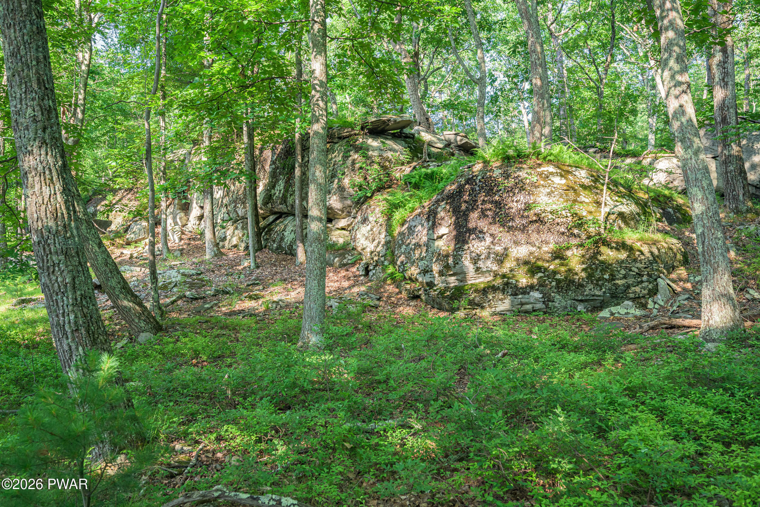 High Ridge Dingmans Ferry, PA 18328 - Photo 18 of 63