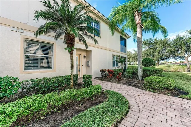 a view of a backyard with potted plants and a large tree