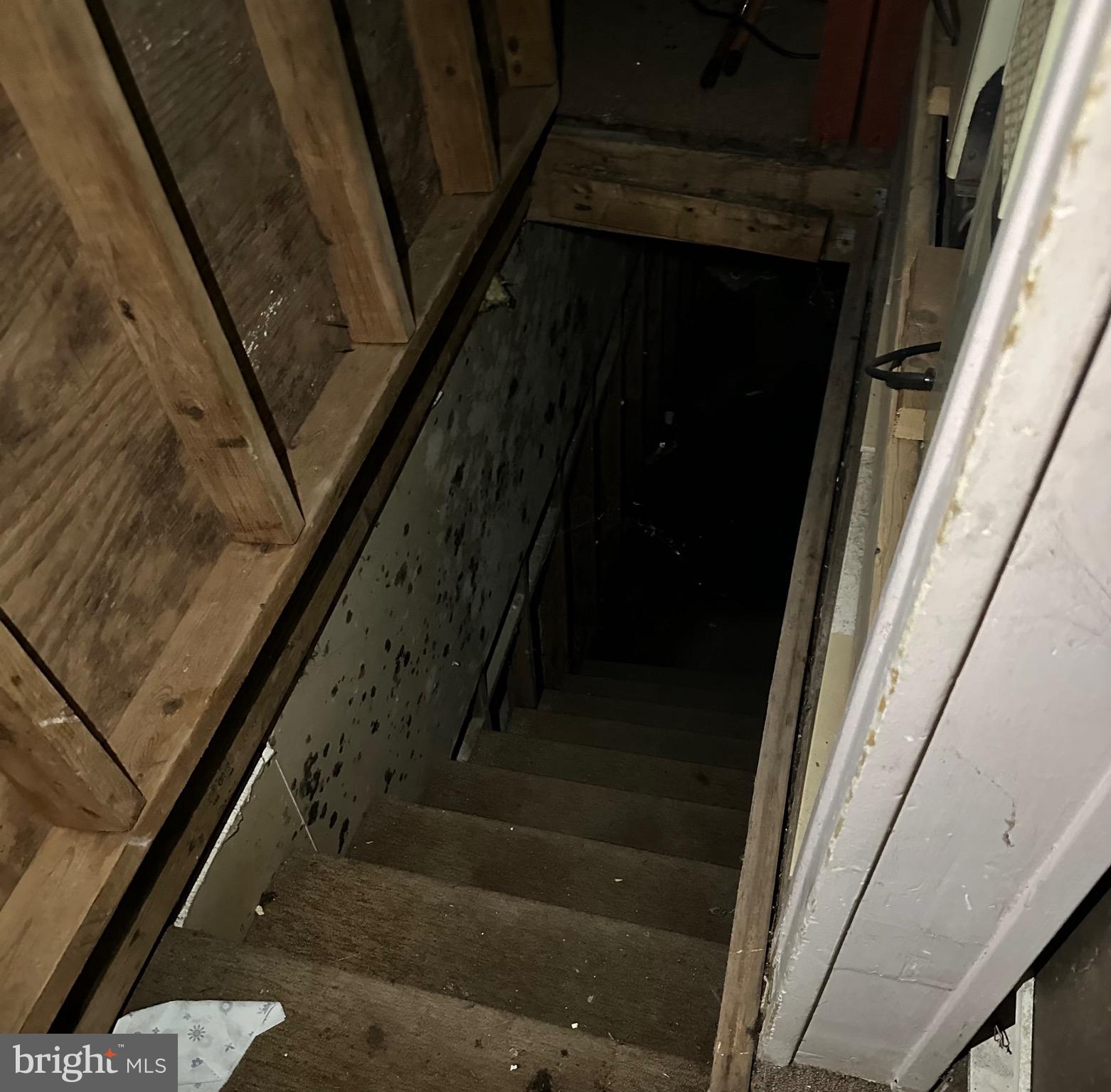 1905 North Ellamont Street Baltimore, MD 21216 - Photo 10 of 14