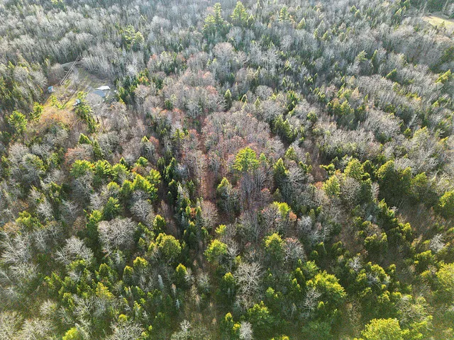 $59,900 | Lot 3-3 Bryant Road, Freedom, ME 04941