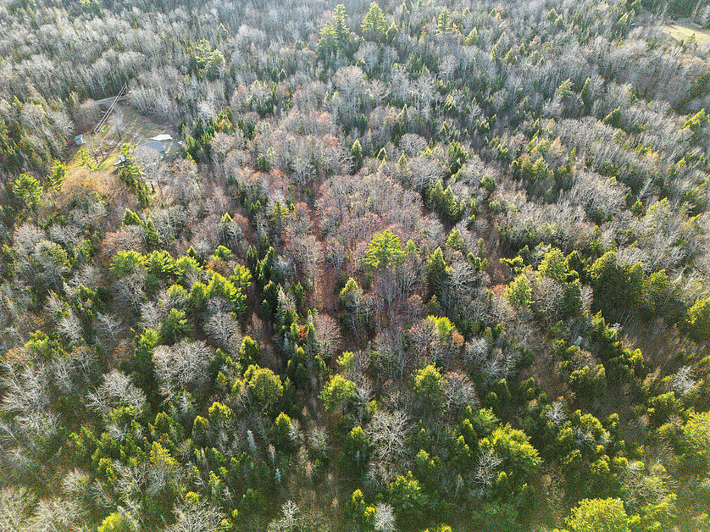 Lot 3-3 Bryant Road Freedom, ME 04941 - Photo 5 of 6 Aerial