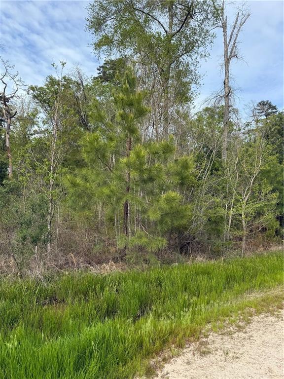 Tbd Tbd Odra Pritchard Leteff Road Independence, LA 70443 - Photo 1 of 3 Gallery Image 1