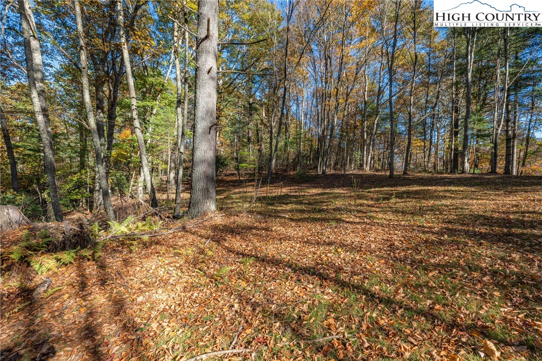 River Front Ridge Drive Jefferson, NC 28640 - Photo 11 of 19 a view of outdoor space with trees