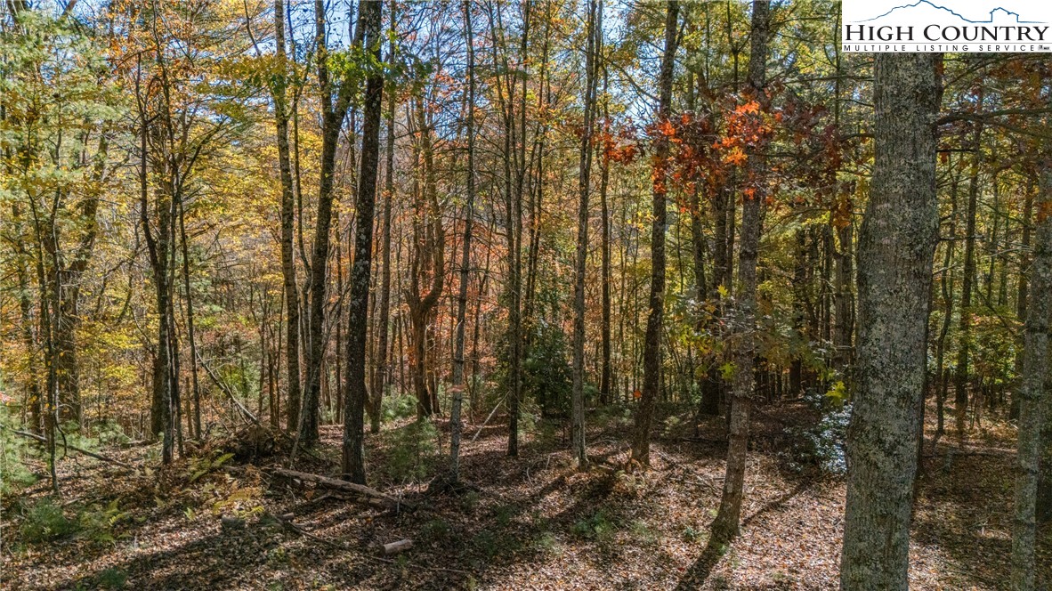 River Front Ridge Drive Jefferson, NC 28640 - Photo 12 of 19 a view of outdoor space and garden