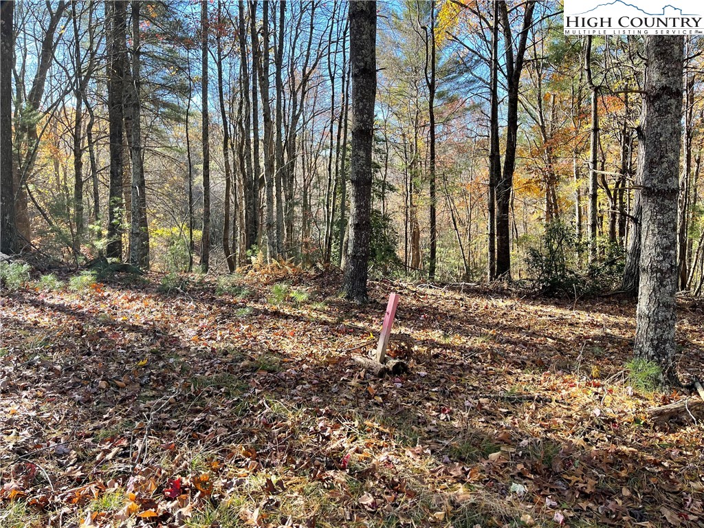 River Front Ridge Drive Jefferson, NC 28640 - Photo 13 of 19 a backyard of a house with lots of green space