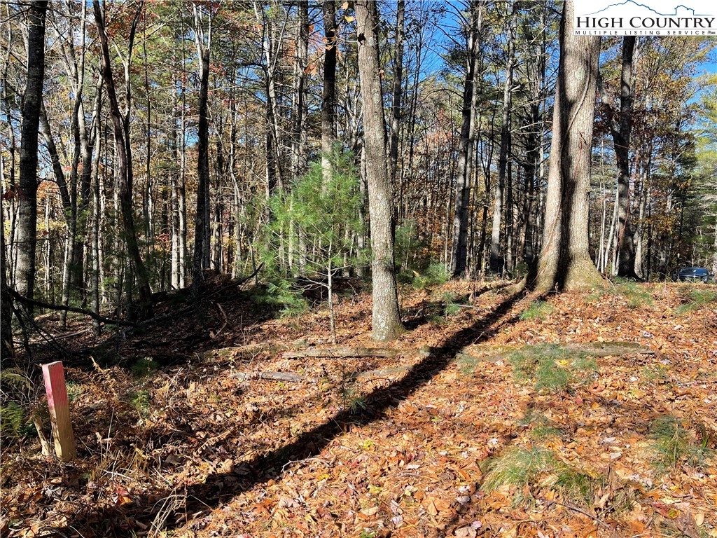 River Front Ridge Drive Jefferson, NC 28640 - Photo 14 of 19 a view of a yard with plants and trees