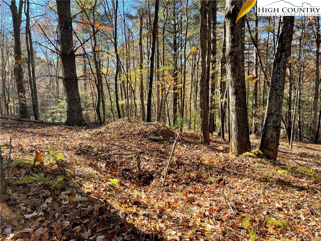 River Front Ridge Drive Jefferson, NC 28640 - Photo 16 of 19 a view of a yard with large trees