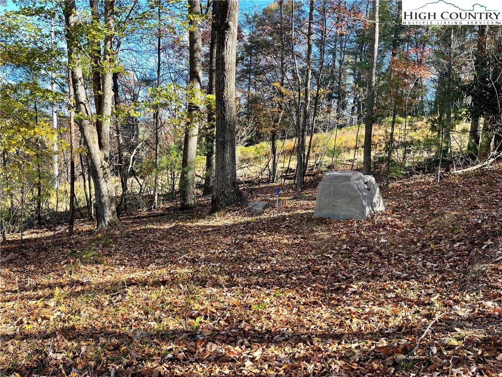 River Front Ridge Drive Jefferson, NC 28640 - Photo 2 of 19 a backyard of a house with lots of green space