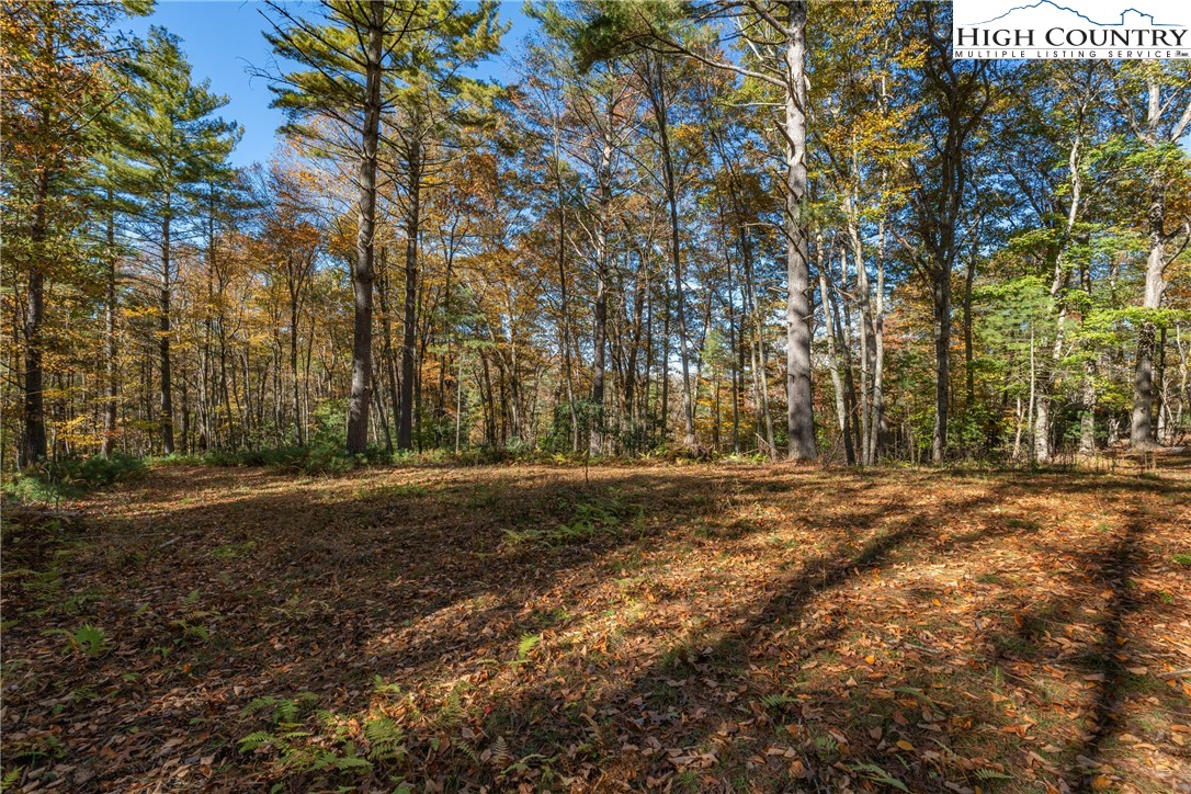 River Front Ridge Drive Jefferson, NC 28640 - Photo 3 of 19 a view of a field with trees