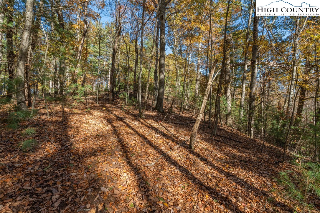 River Front Ridge Drive Jefferson, NC 28640 - Photo 6 of 19 a view of backyard with green space
