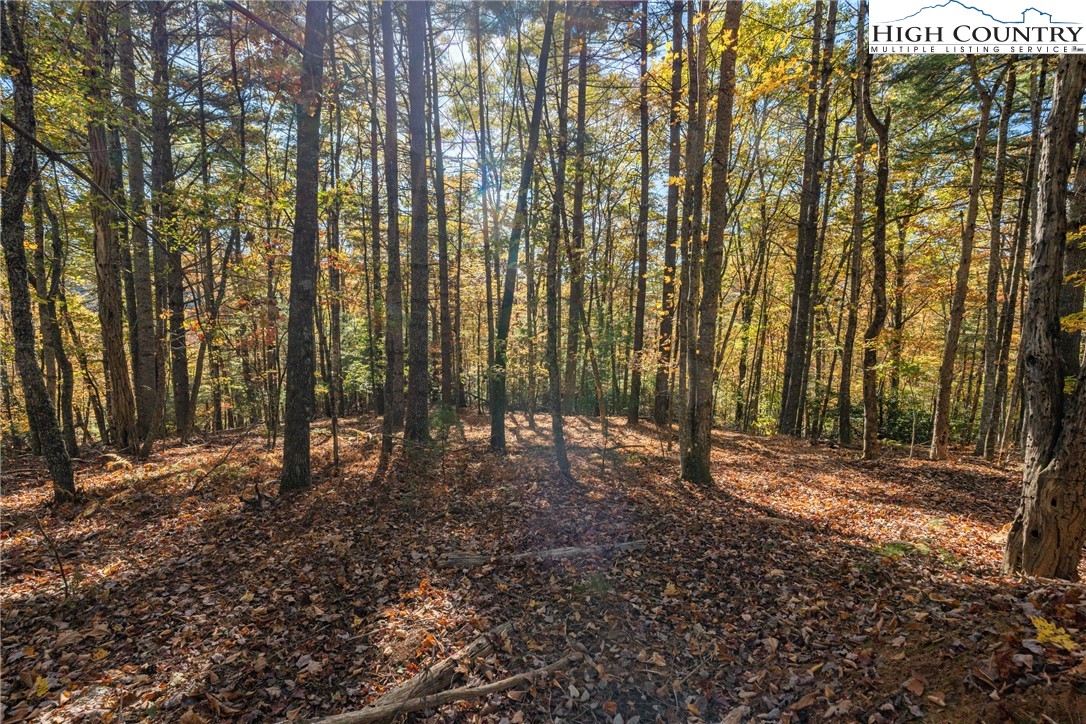 River Front Ridge Drive Jefferson, NC 28640 - Photo 7 of 19 a view of outdoor space with deck