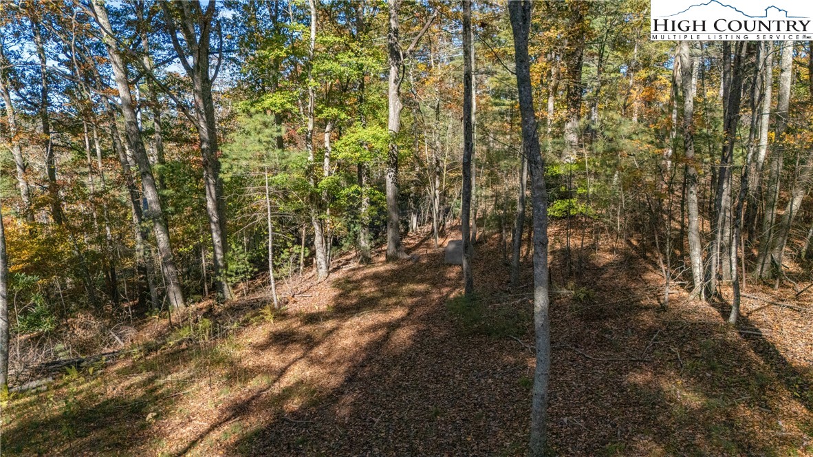 River Front Ridge Drive Jefferson, NC 28640 - Photo 8 of 19 a view of outdoor space and garden