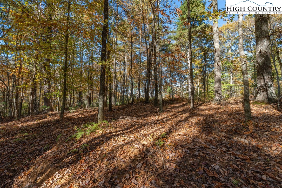 River Front Ridge Drive Jefferson, NC 28640 - Photo 9 of 19 a backyard of a house with lots of green space