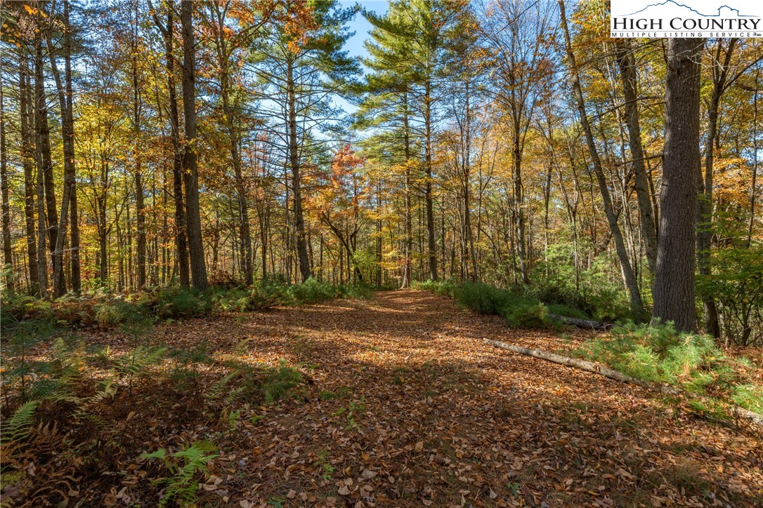 River Front Ridge Drive Jefferson, NC 28640 - Photo 10 of 19 a view of a field with trees in the background