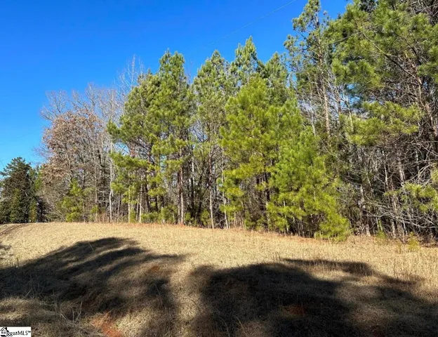 $125,000 | 0 Terrapin Pointe Road, Hodges, SC 29653