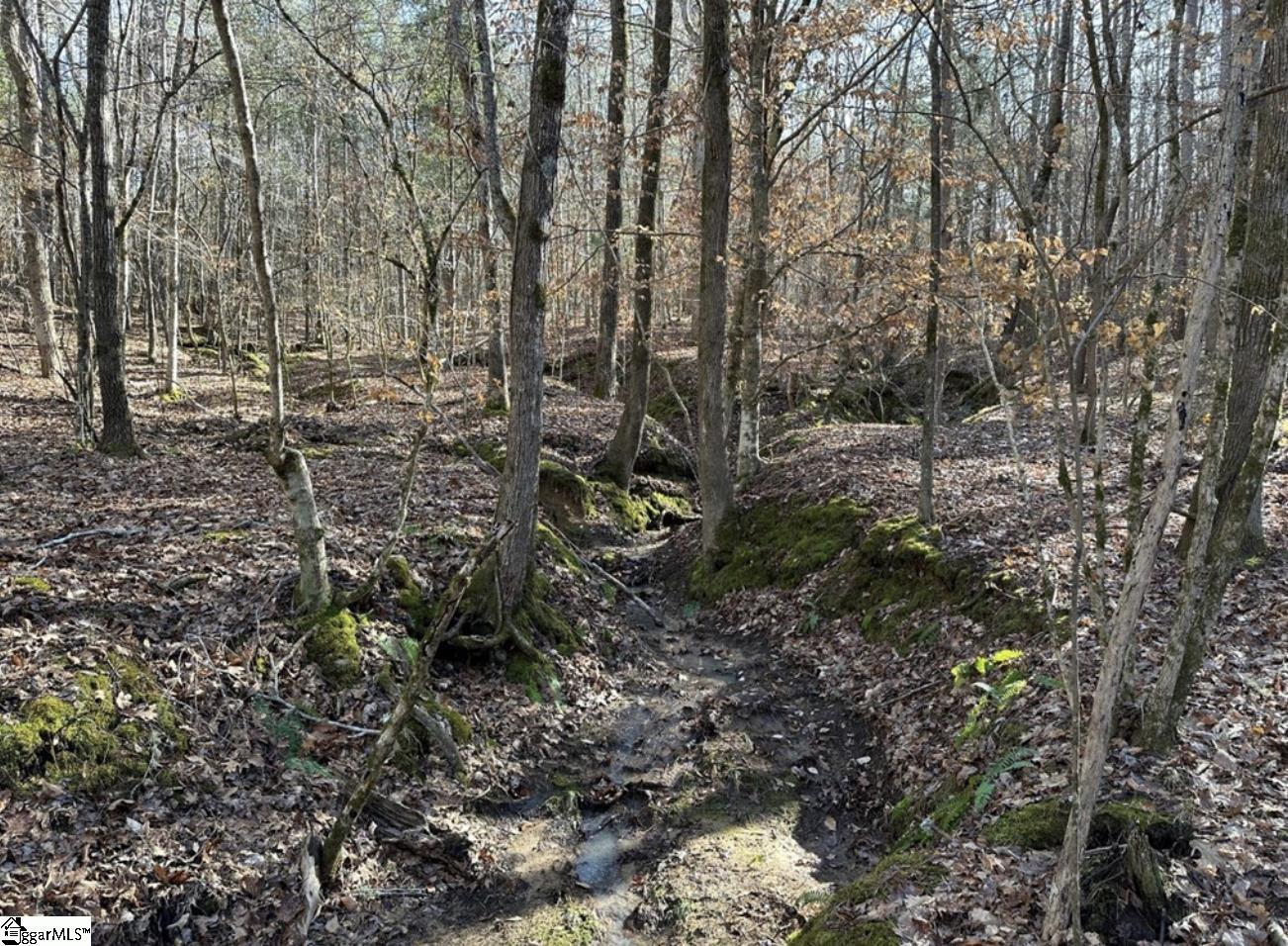 0 Terrapin Pointe Road Hodges, SC 29653 - Photo 2 of 12