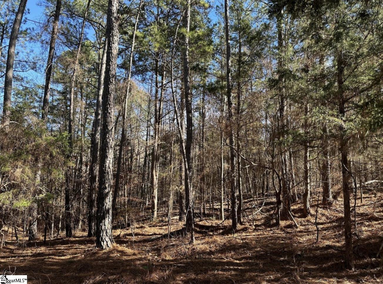 0 Terrapin Pointe Road Hodges, SC 29653 - Photo 3 of 12