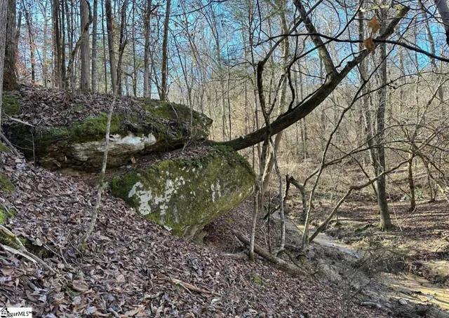 $125,000 | 0 Terrapin Pointe Road, Hodges, SC 29653