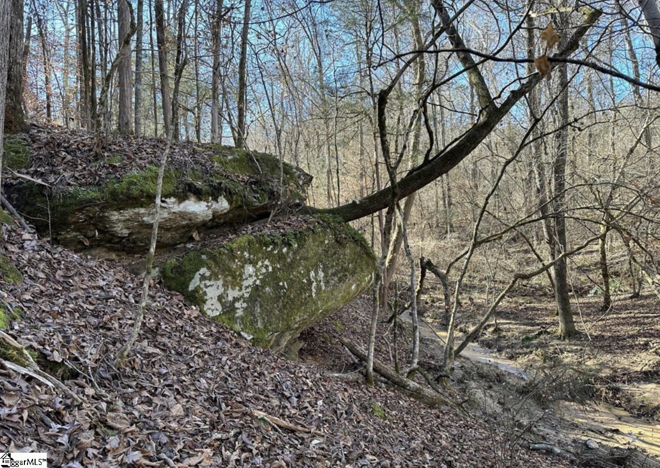 0 Terrapin Pointe Road Hodges, SC 29653 - Photo 4 of 12