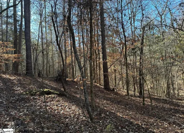 $125,000 | 0 Terrapin Pointe Road, Hodges, SC 29653