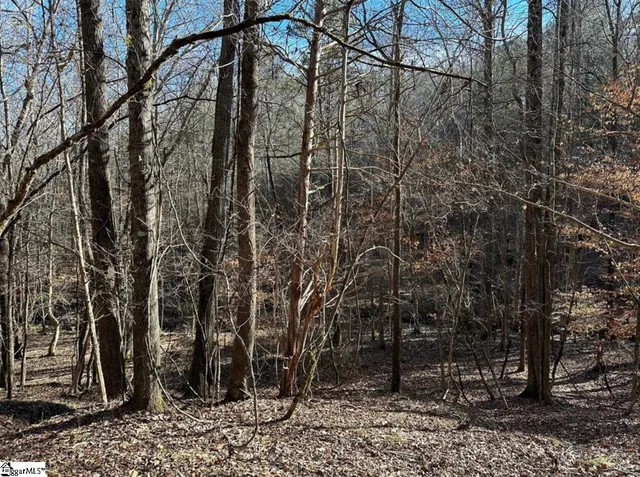 $125,000 | 0 Terrapin Pointe Road, Hodges, SC 29653