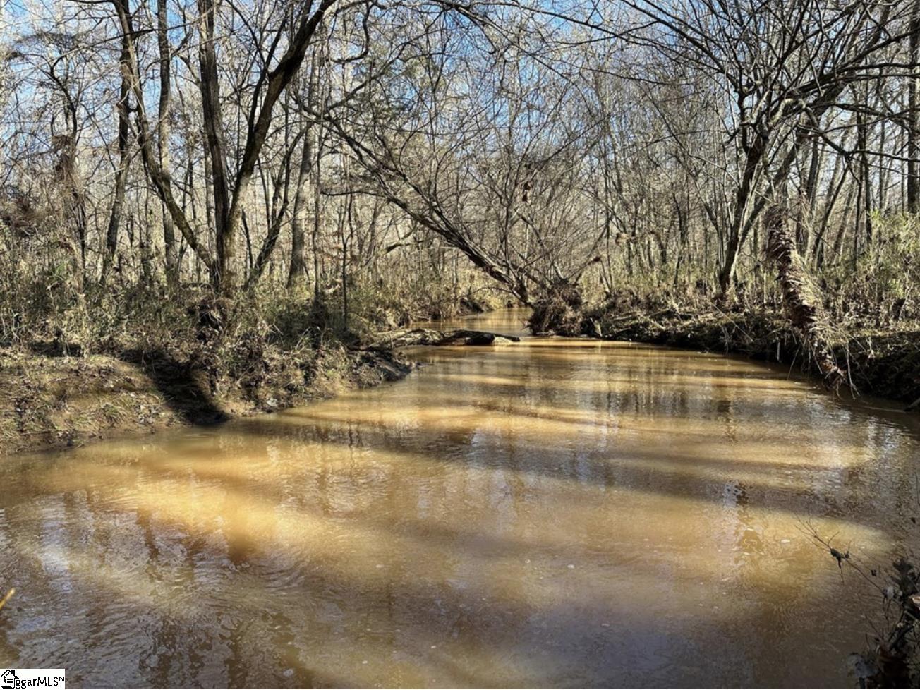 0 Terrapin Pointe Road Hodges, SC 29653 - Photo 7 of 12
