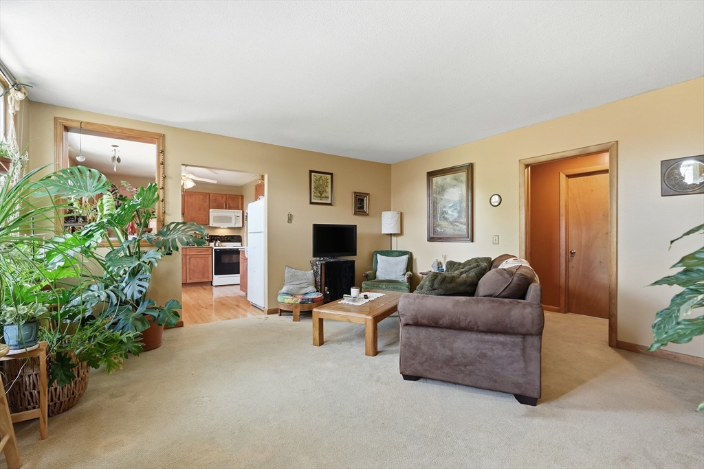 15 Main Street Hatfield, MA 01038 - Photo 24 of 42 a living room with furniture and a potted plant