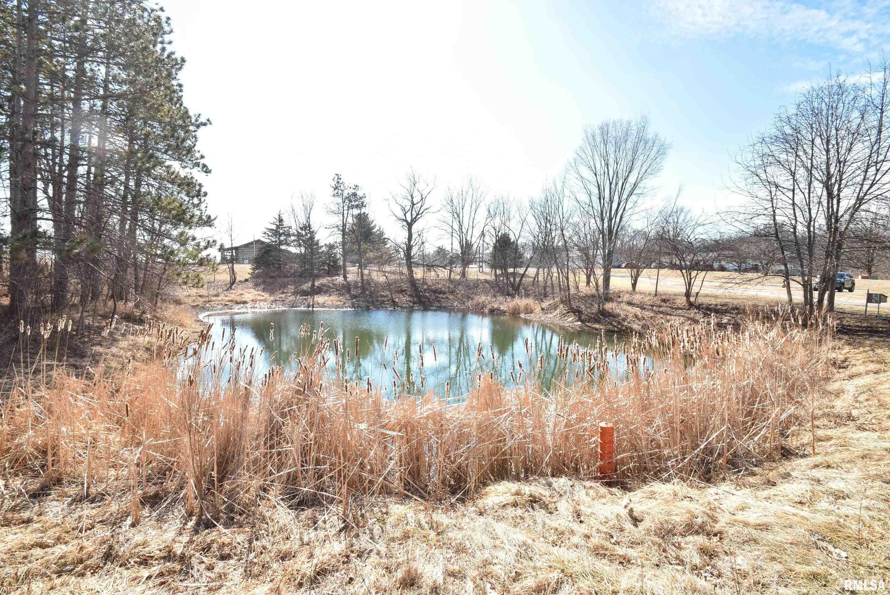 2916 North Trivoli Road Trivoli, IL 61569 - Photo 3 of 32