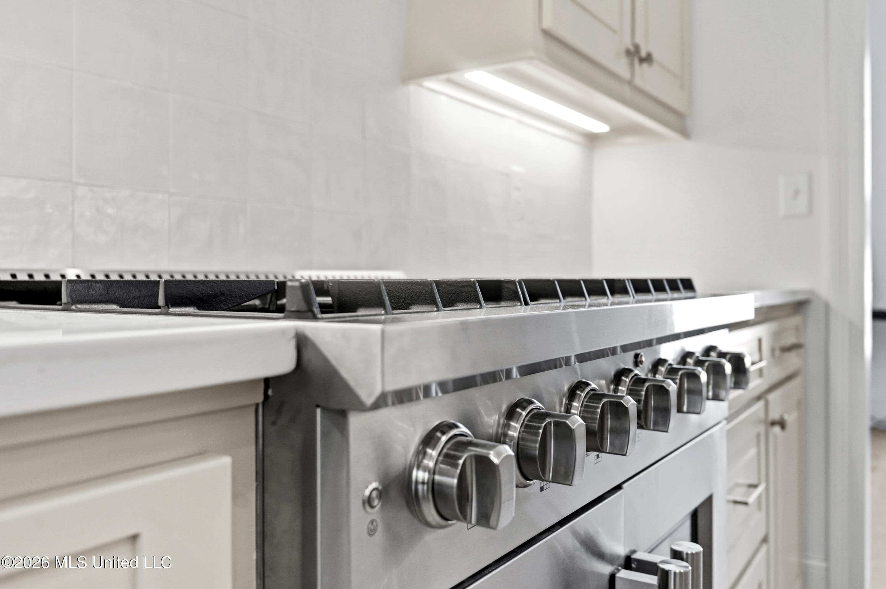 181 Bronson Bend Flowood, MS 39232 - Photo 20 of 75 Kitchen Detail Shot