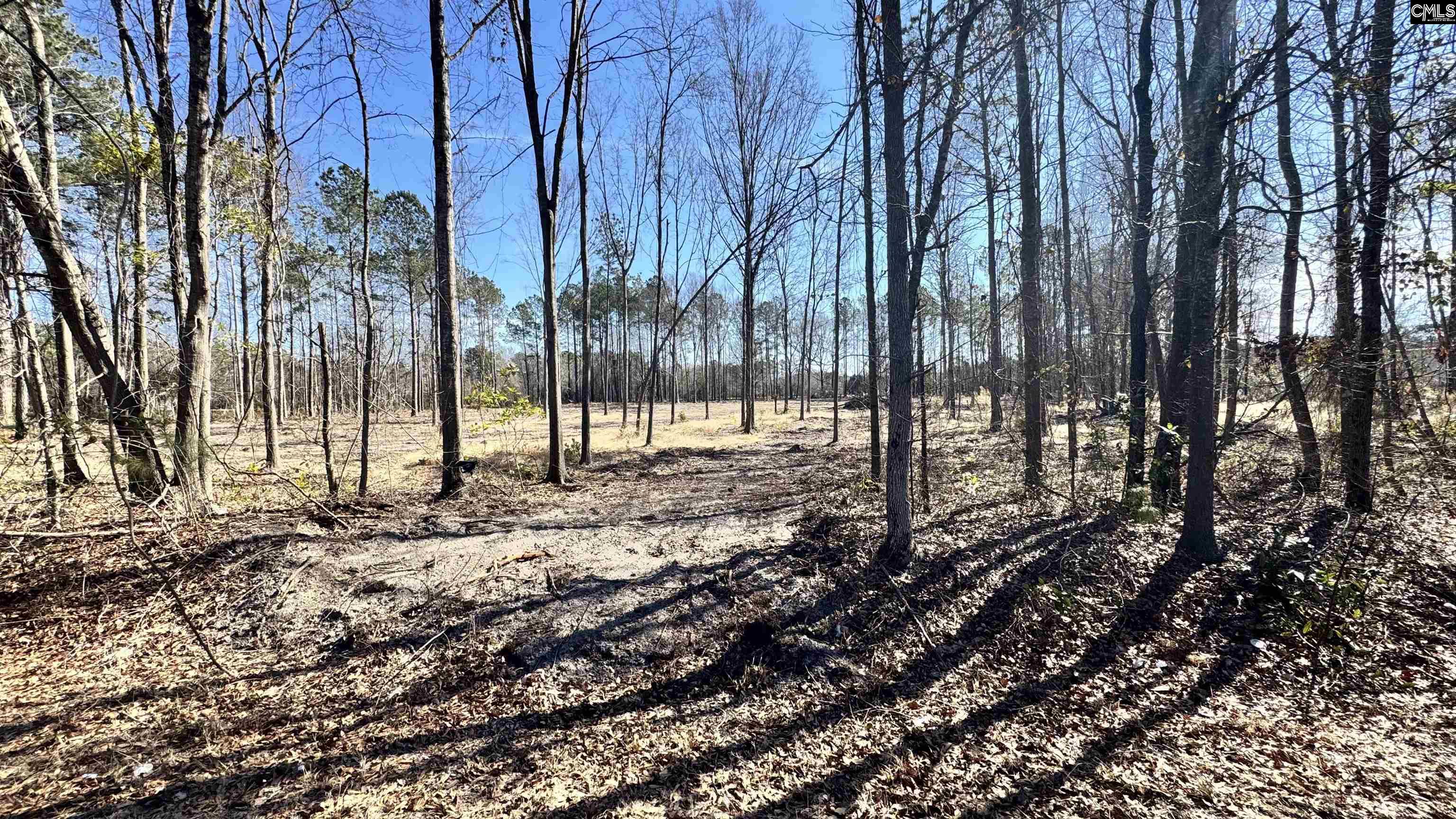 1045 Highway 1 Cassatt, SC 29032 - Photo 1 of 2