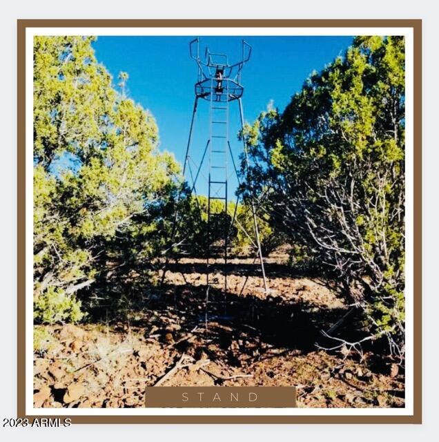 327 North Edwards Rnch Road, Unit 327 Williams, AZ 86046 - Photo 2 of 6 2