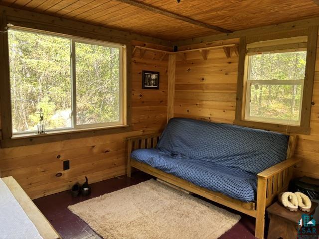 5049 Big Lake Road Ely, MN 55731 - Photo 5 of 14