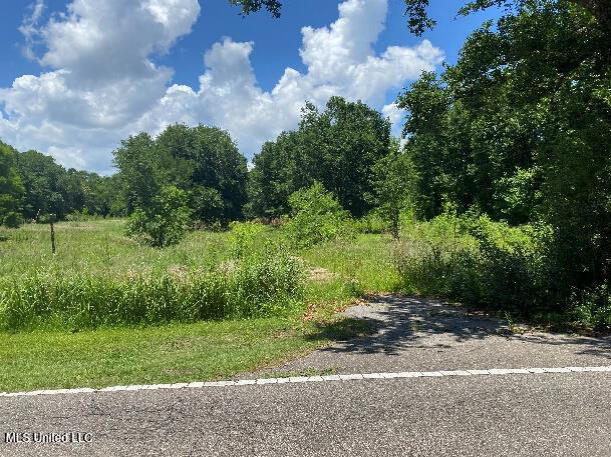 4236 Brodie Road D'Iberville, MS 39540 - Photo 2 of 5 3