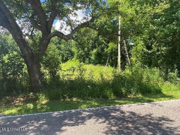 4236 Brodie Road D'Iberville, MS 39540 - Photo 4 of 5 Frontage