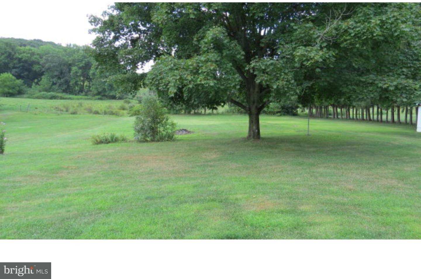 14 Dad Burnhams Road Pine Grove, PA 17963 - Photo 8 of 25 Back Yard