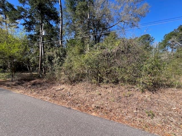 26177 Brogden Road Andalusia, AL 36421 - Photo 2 of 15 Gallery Image 2