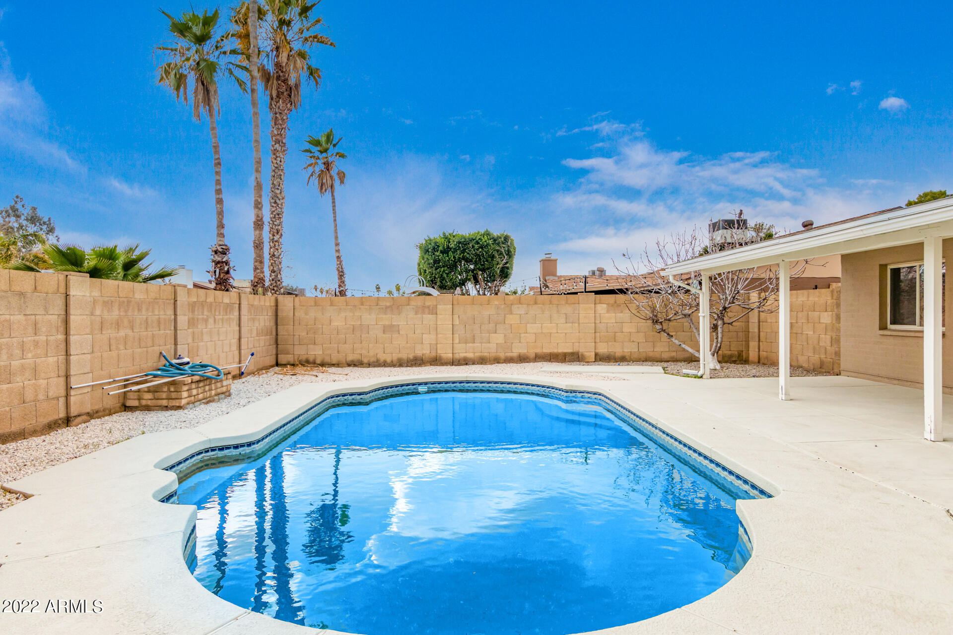 2821 West Hearn Road Phoenix, AZ 85053 - Photo 19 of 23 Pool