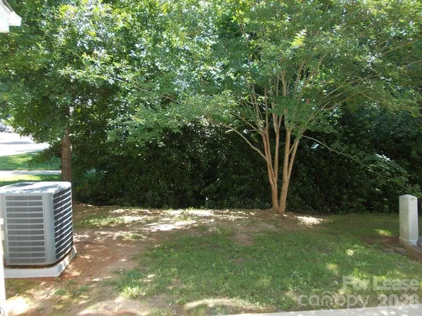 a view of backyard with tree