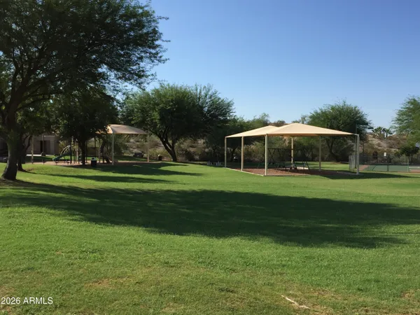 a view of a park with large trees and a lots of trees